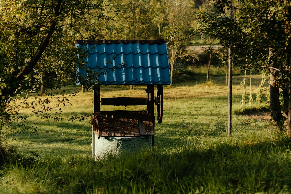 Old wooden well with blue roof in grassy yard
