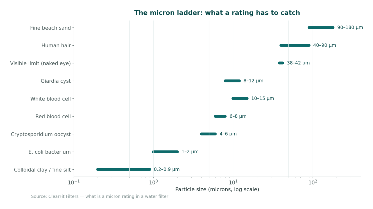 Particle size ladder from gravel to virus, on a logarithmic micron scale